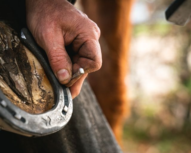How to match the nail to a horseshoe - Mustad